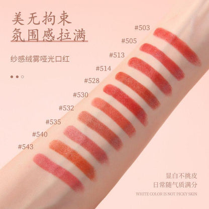 HiVi 10 Pcs Peach Soft Light Matte Lipstick Set